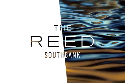 The Reed Thumbnail 1