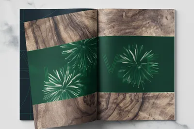 Altaire Logo Brochure02 Typography Graphic Design Chicago Span