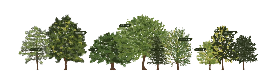 CAC Re Covered Web Post 230503 1 BR 4