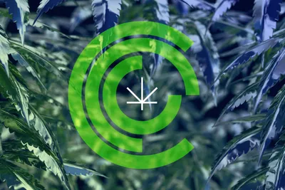 CCC Cannabis logo Chicago Graphic Design Span 2