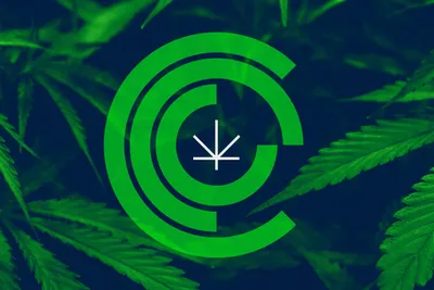 CCC Cannabis logo Chicago Graphic Design Span
