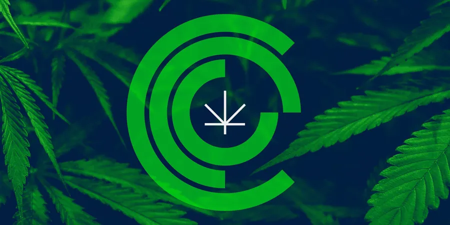 CCC Cannabis logo Chicago Graphic Design Span