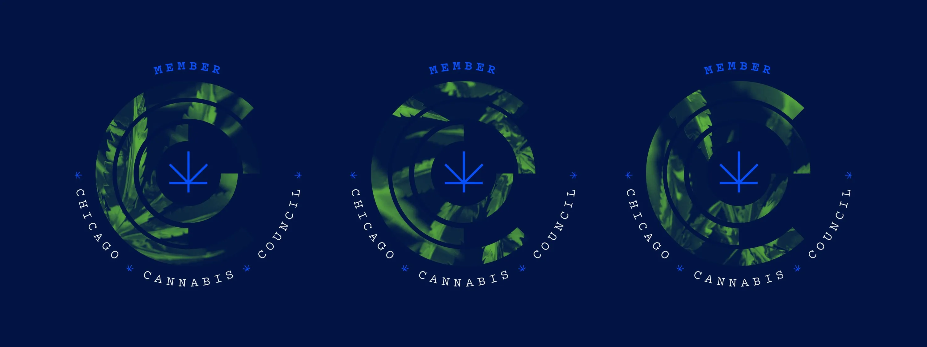 CCC Chicago Cannabis Council Branding Members Seal Chicago Graphic Design Span