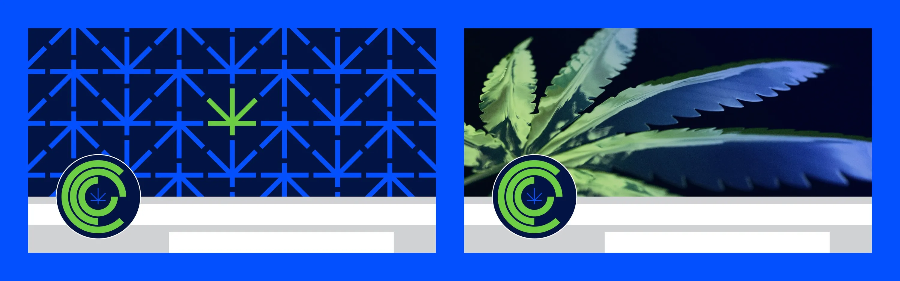 CCC Chicago Cannabis Council Branding Social Media Chicago Graphic Design Span