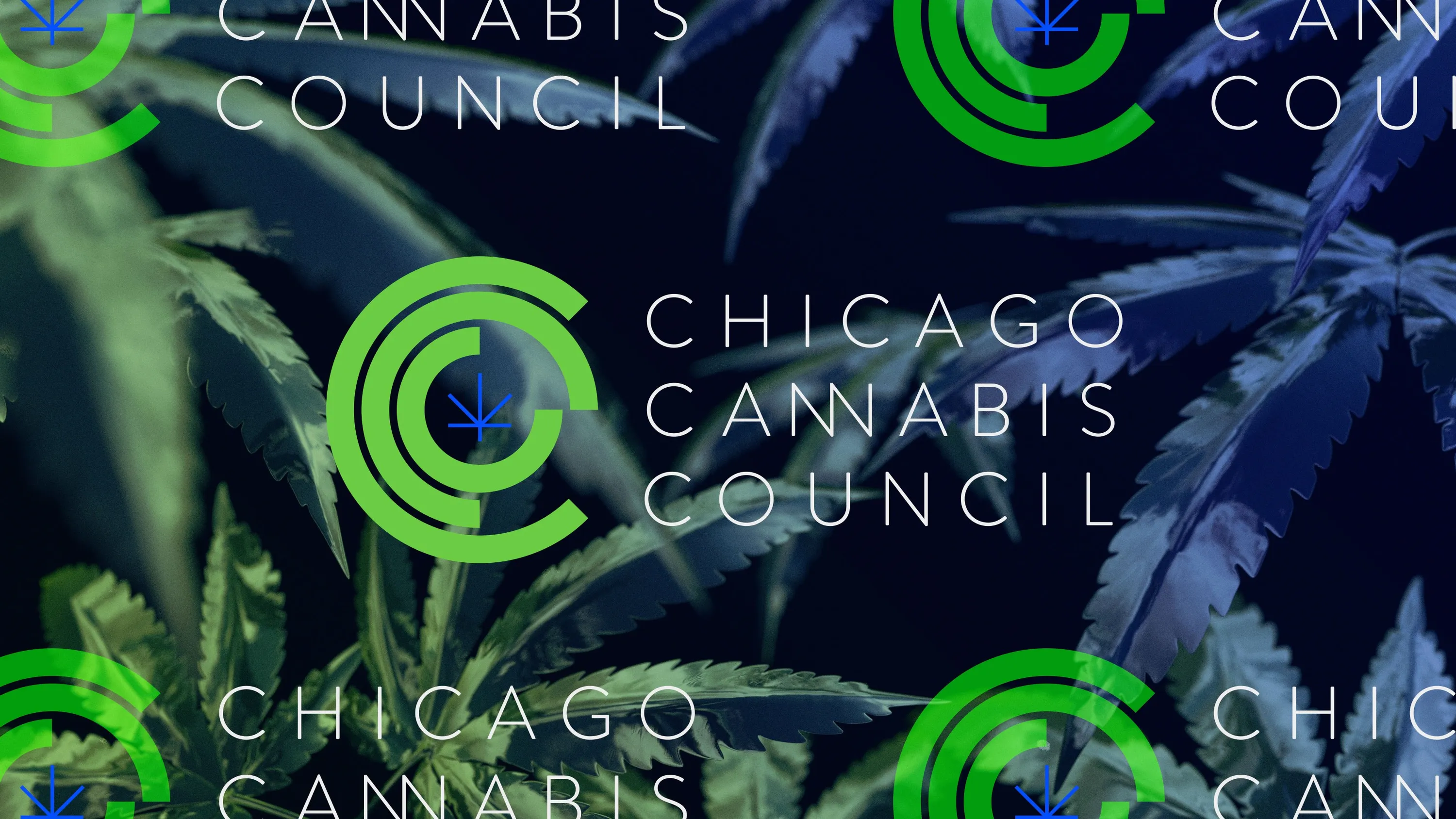 CCC Chicago Cannabis Council logo Chicago Graphic Design Span