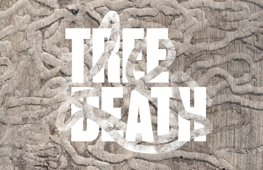 Chicago Changing Climate Web Post 240807 1 ds