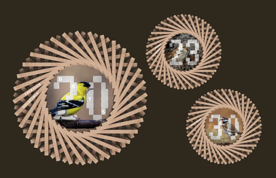 Chicago Changing Climate Web Post 240809 1 ds