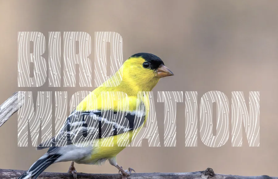 Chicago Changing Climate Web Post 250430 dsjp