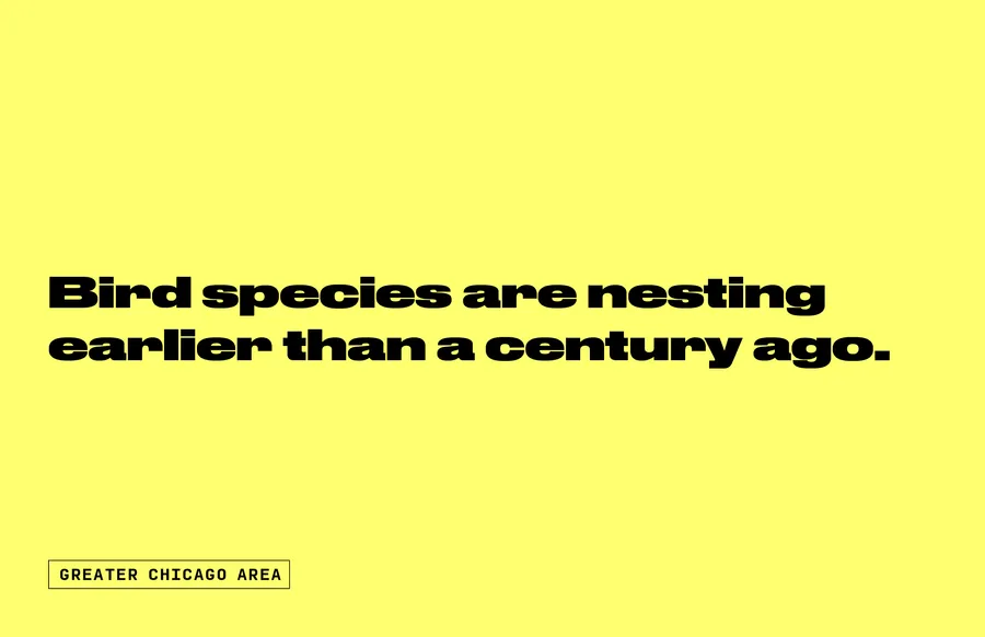 Chicago Changing Climate Web Post 250430 dsjp2