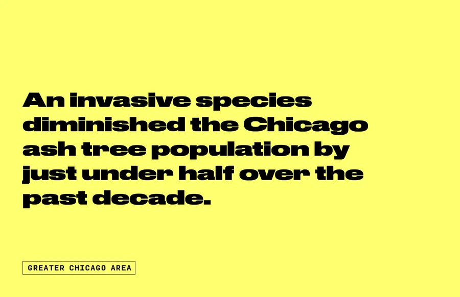 Chicago Changing Climate Web Post 250430 dsjp3