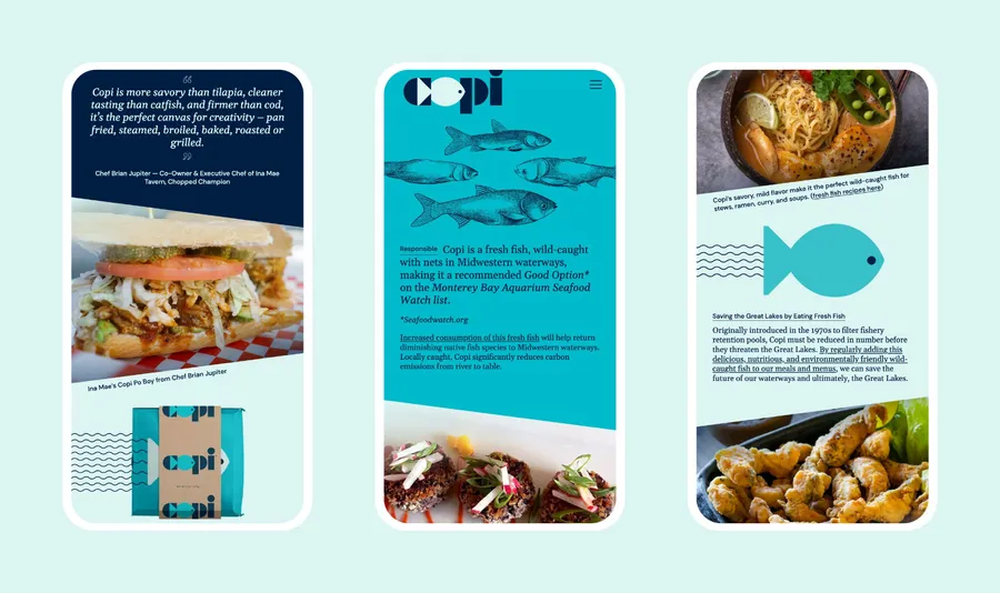 Copi Asiancarp Span Fish 15 New