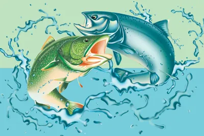 Id Rather Be Fishing IDNR Billboards 5 0