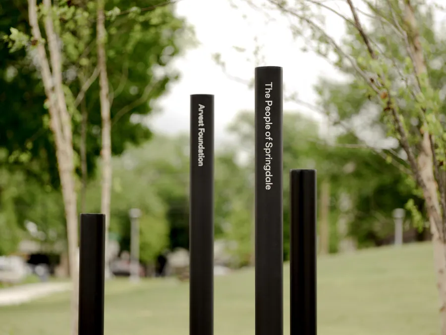 LGP Donor Reeds Photo