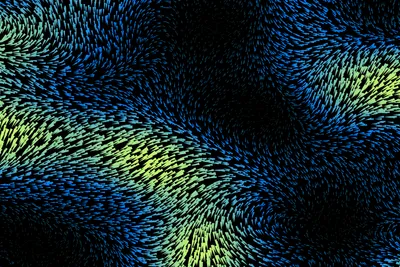 Liquid 2021 10 26 10 06 38 221