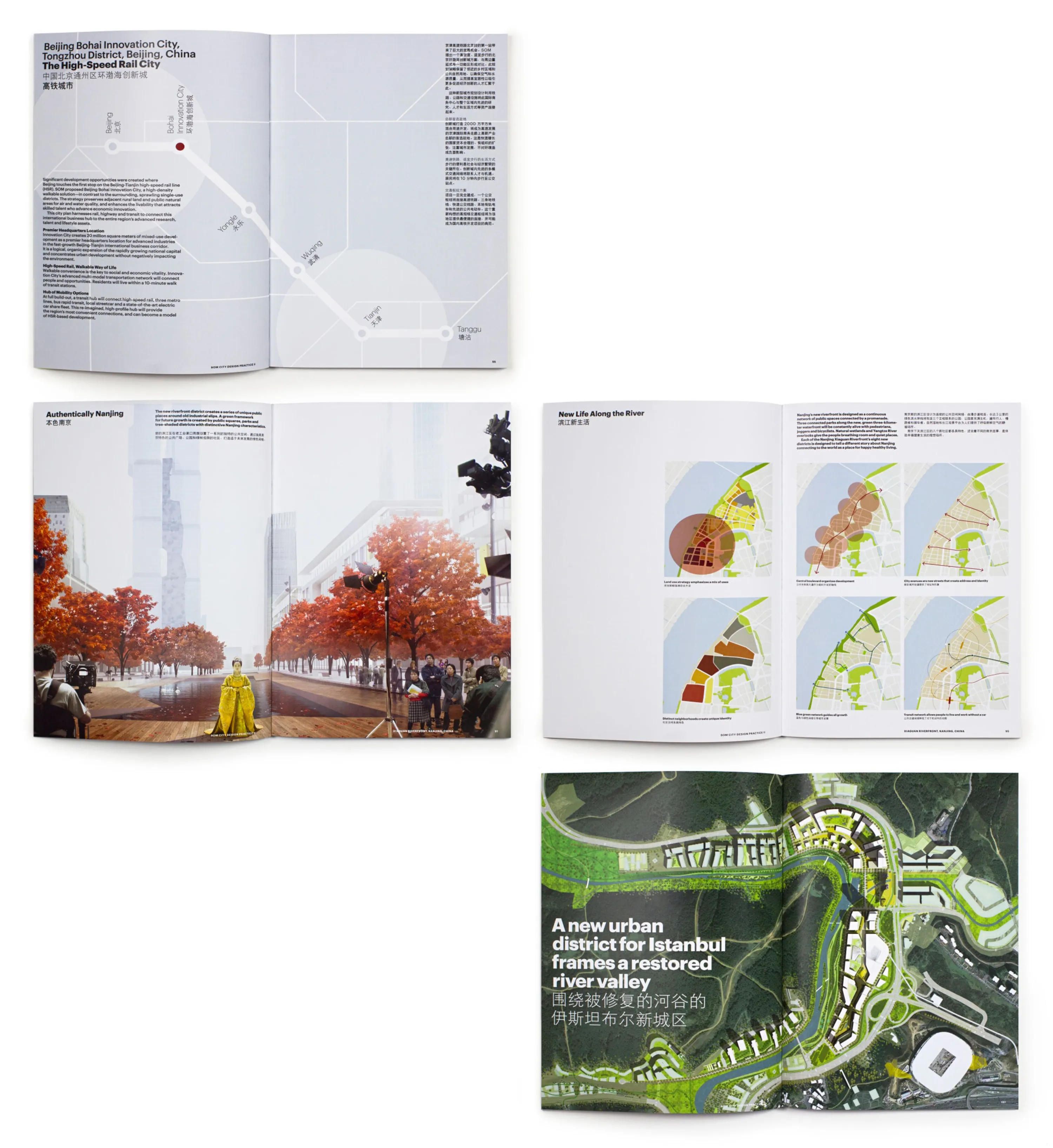 SOM City Design Practice Book 10