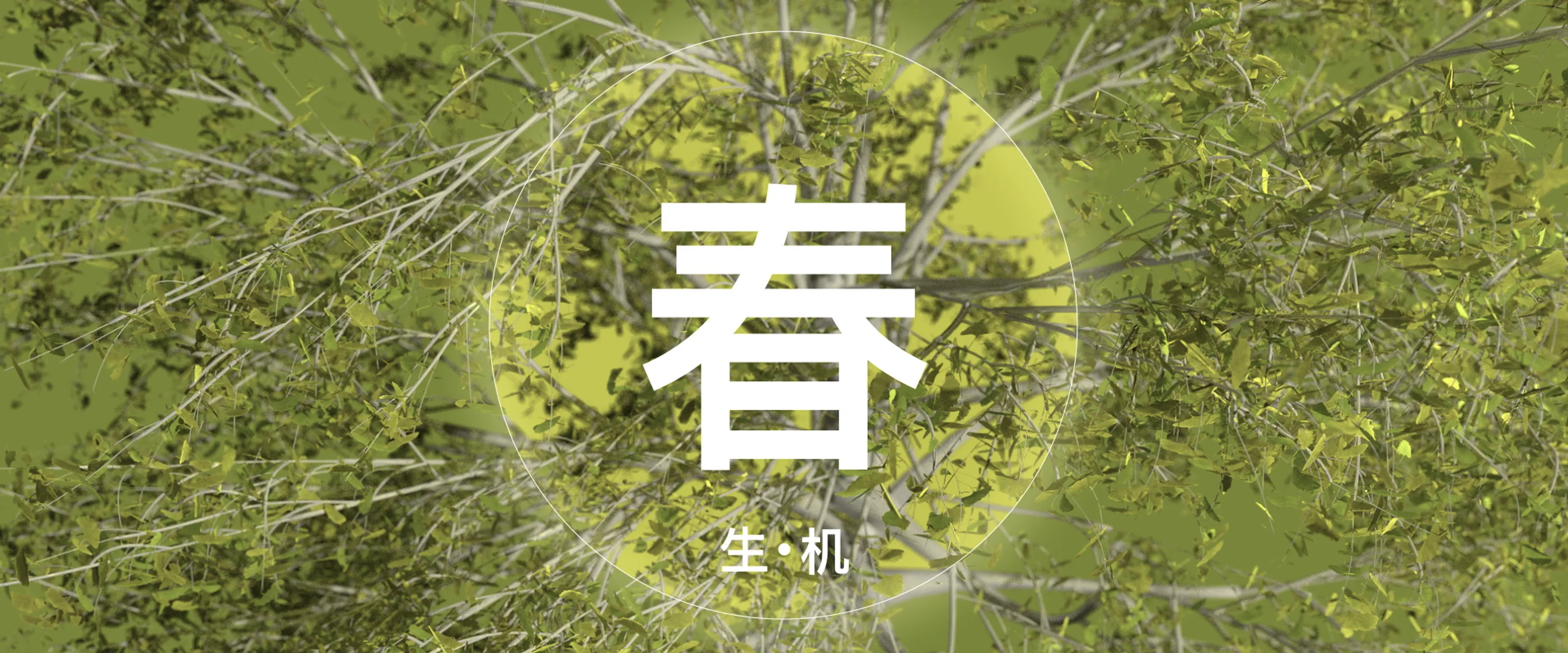 SOM XA Spring Title 1