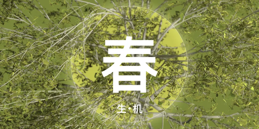 SOM XA Spring Title 1