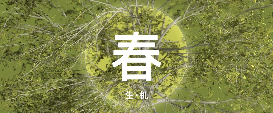 SOM XA Spring Title 1