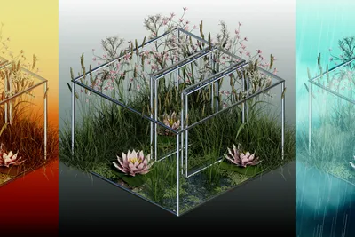 Same Biome Different Weather