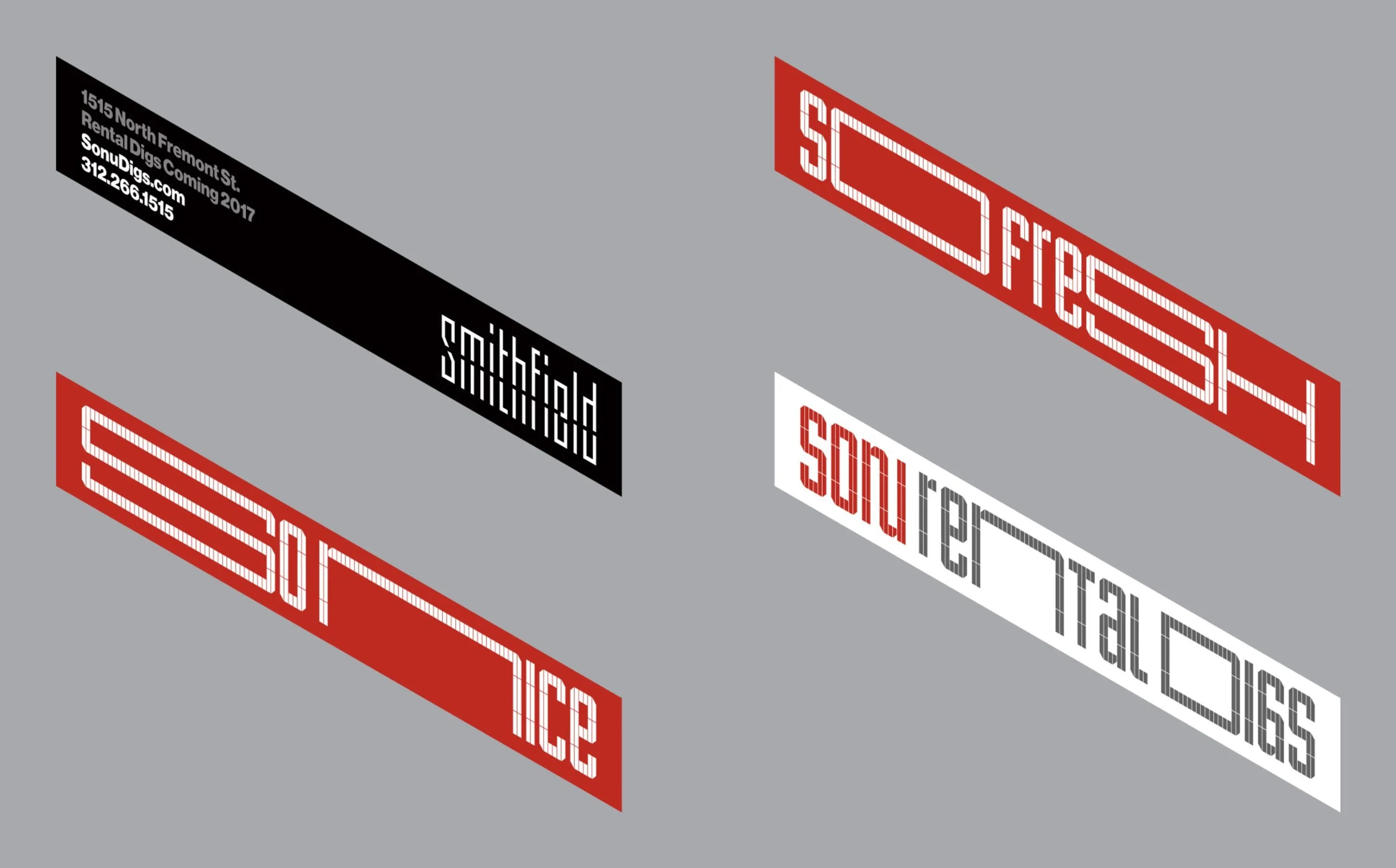So Nu Graphic Identity Banners 2