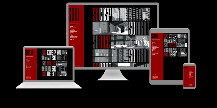 So Nu Graphic Identity Website