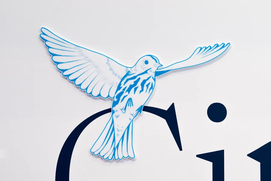 Span CAC Flyway City Bird Detail