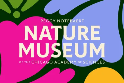 Span Nature Museum Visual Identity Rebrand 01