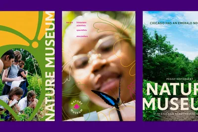 Span Nature Museum rebrand 10