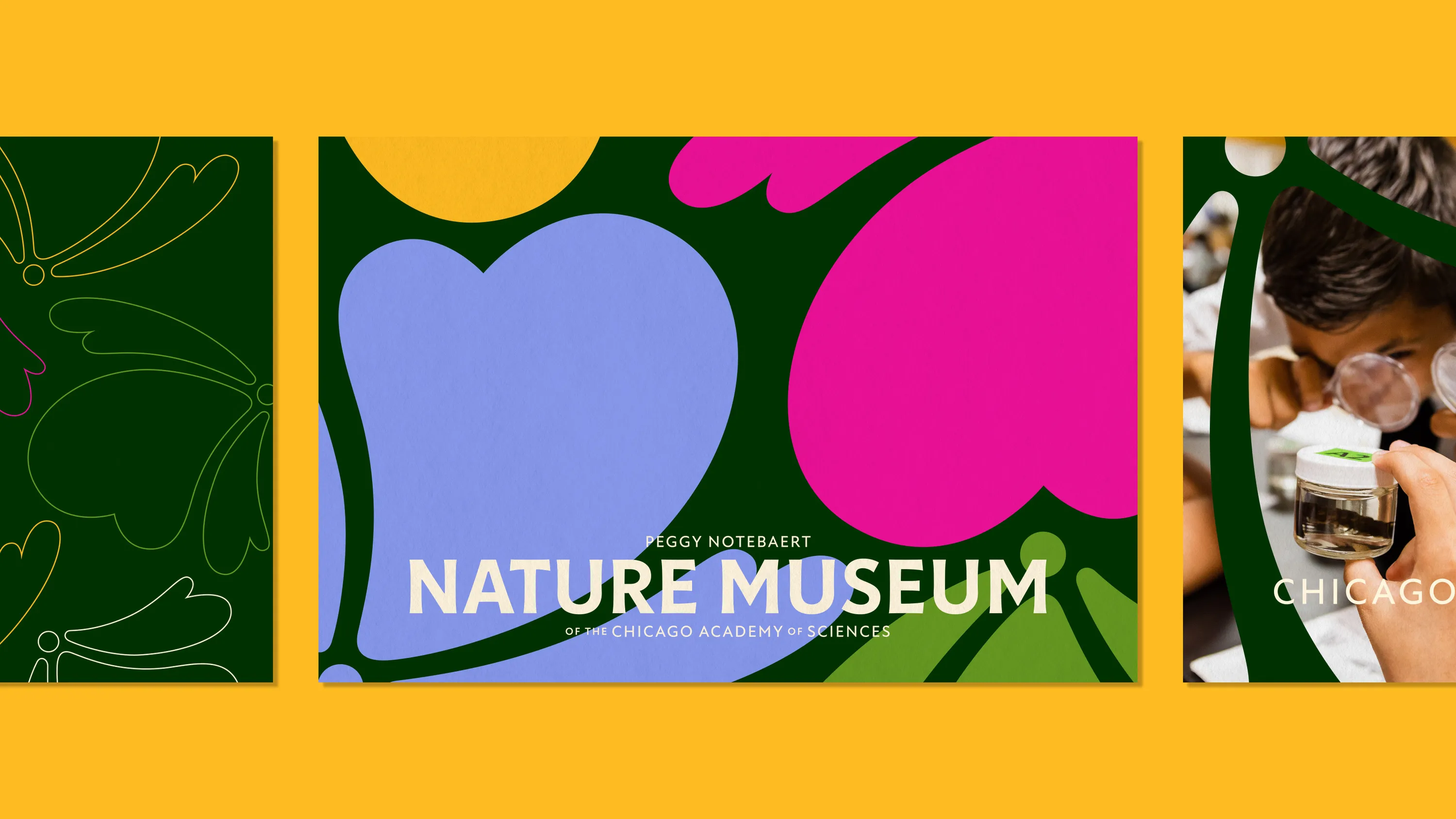 Span Nature Museum rebrand 19
