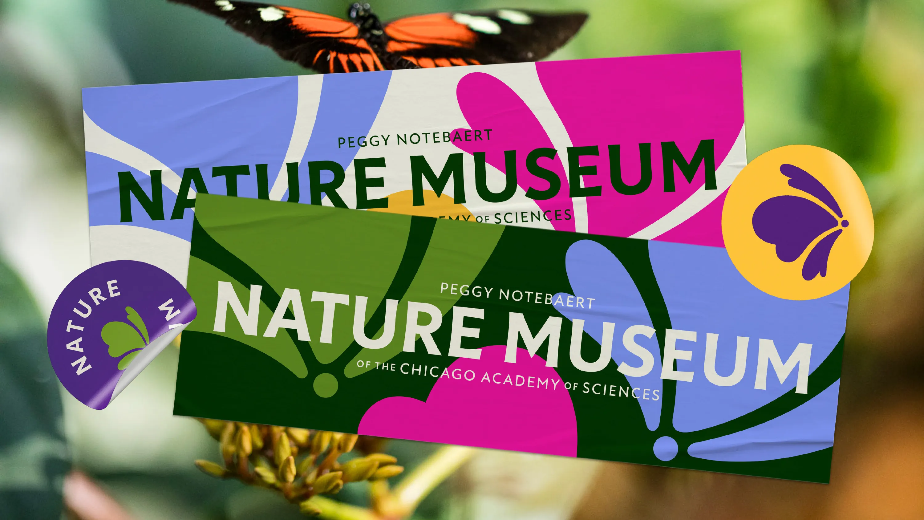 Span Nature Museum rebrand 23