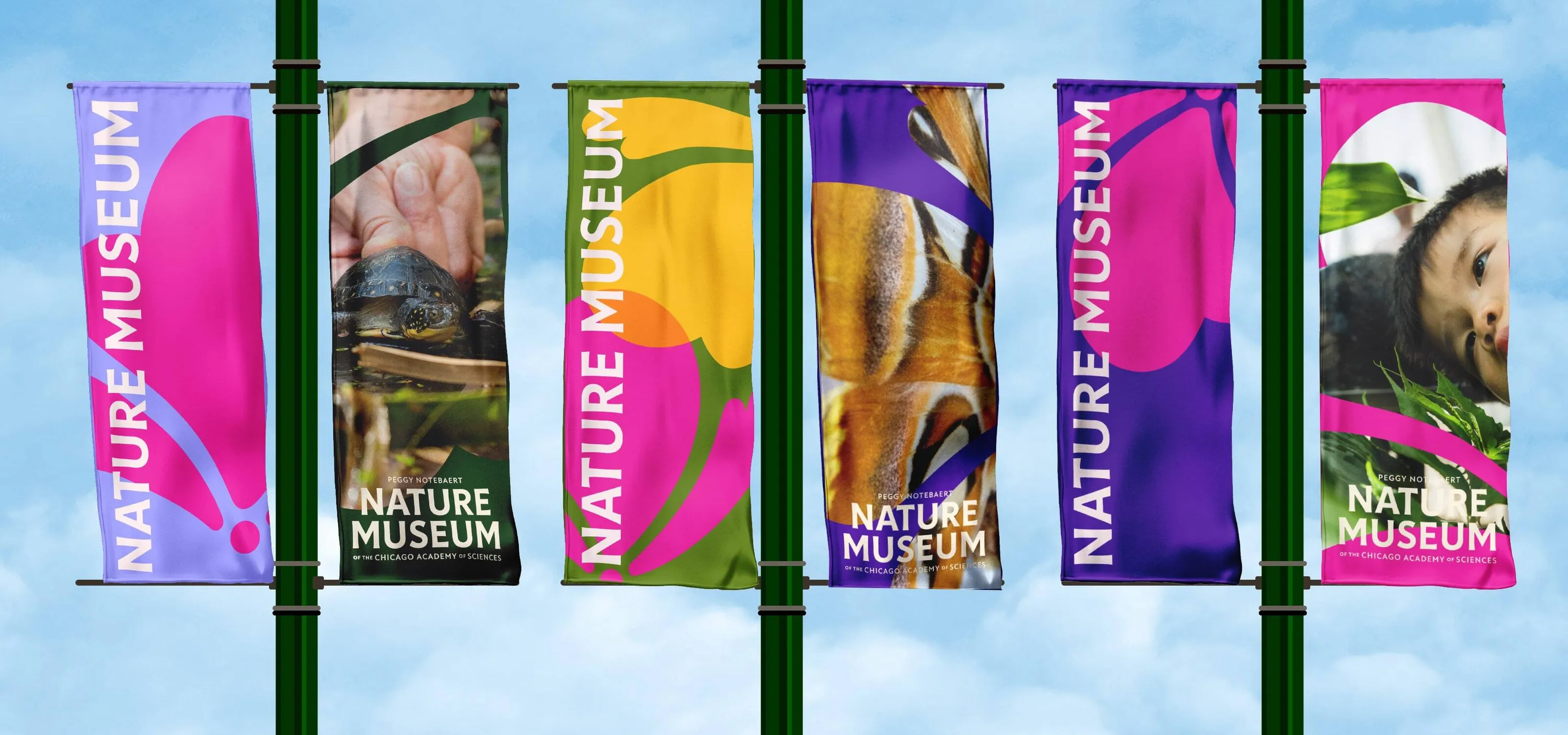 Span Nature Museum rebrand 7