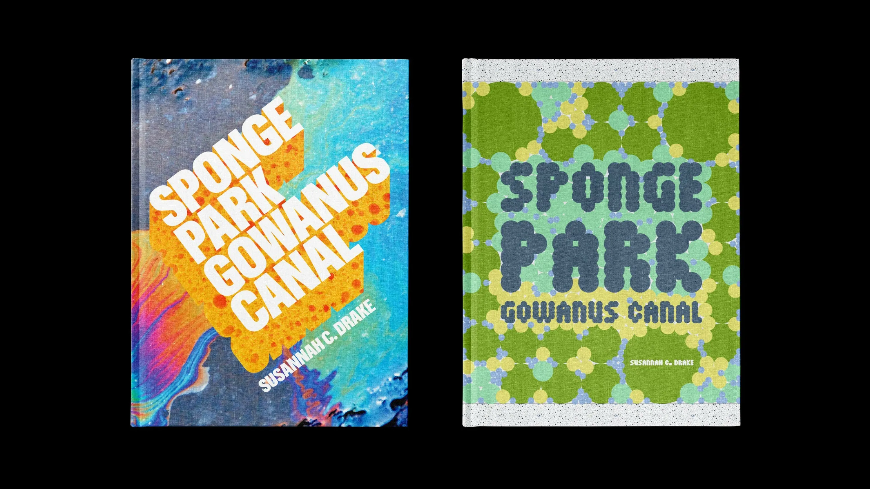 Span Sponge Park Book Cover Design Hero