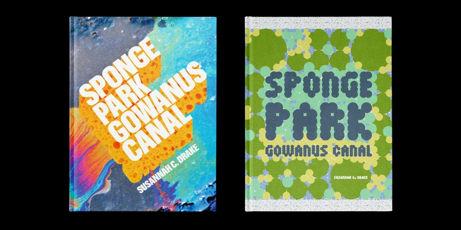 Span Sponge Park Book Cover Design Hero