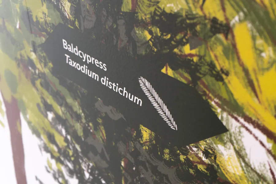 Span Re Covered DSC07410