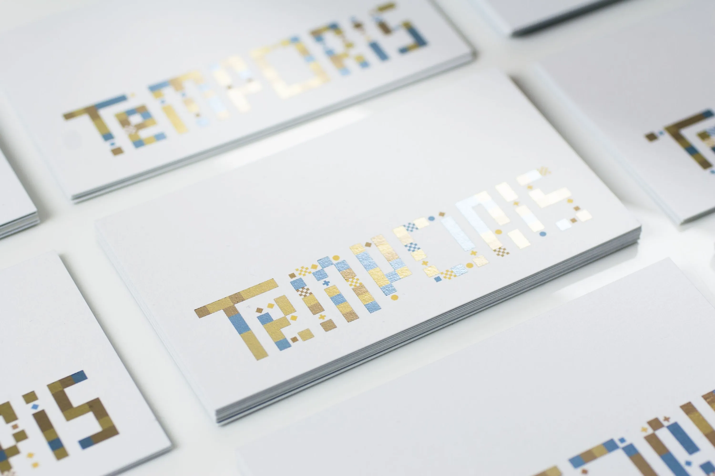 Temporis Identity System Business Cards