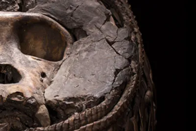 Ddg catalog thumbnail