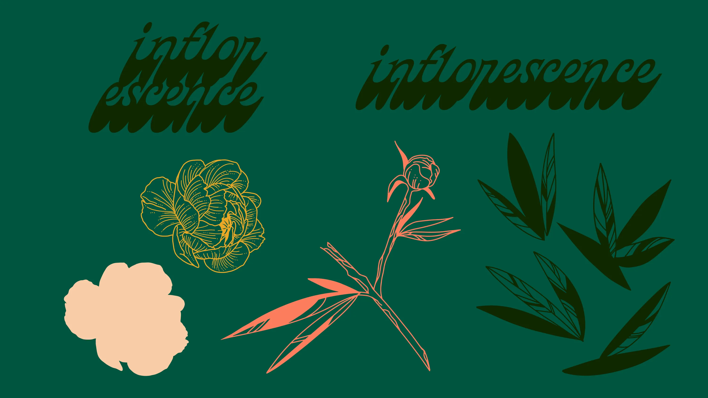 Inflorescence Florist Logo 08