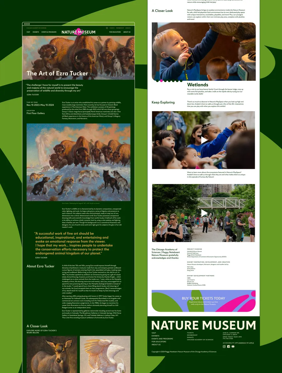 06 Individual Exhibits